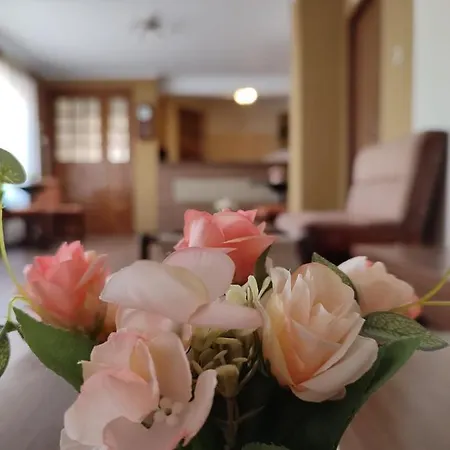 Guest house Flamingo