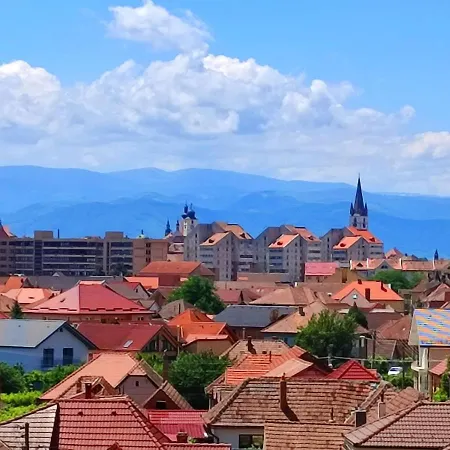Flamingo Guest house Sibiu