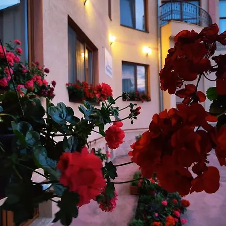 Guest house Flamingo